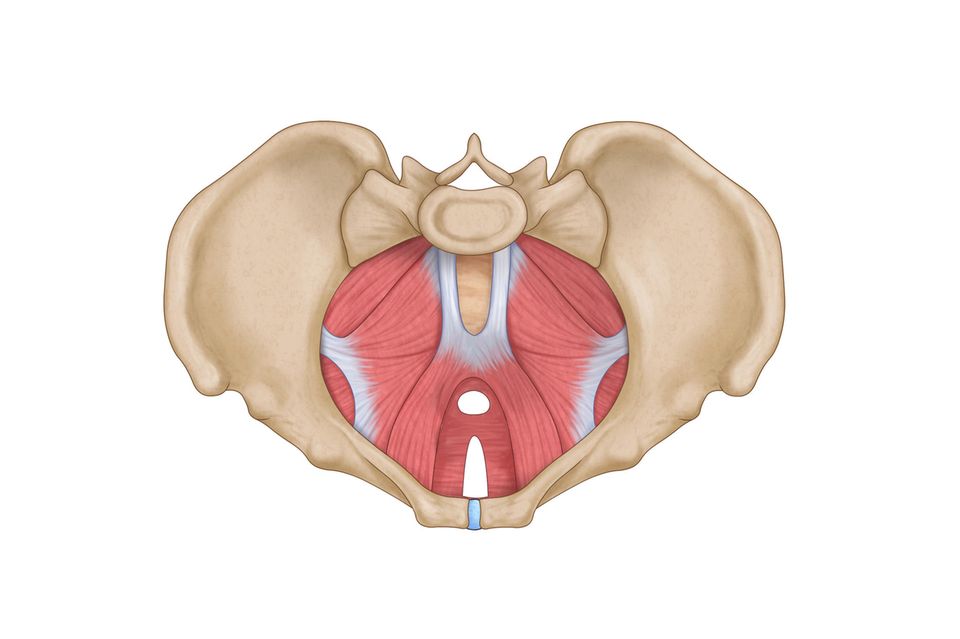 Beckenboden Therapie Hamburg – spezialisierte Physiotherapeutin im KraftOrt Studio Sasel